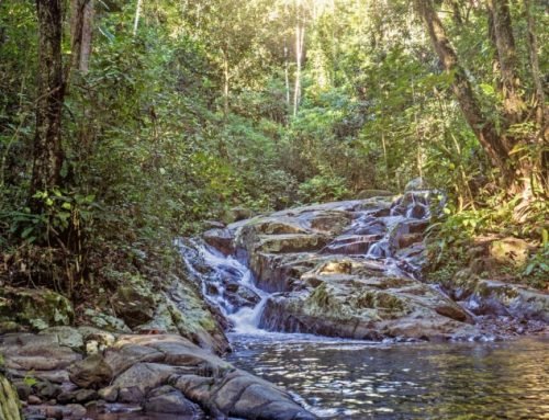 Por que morar perto da natureza?